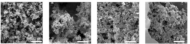 1704676805952506.jpg PW的微樹叢微結構.jpg