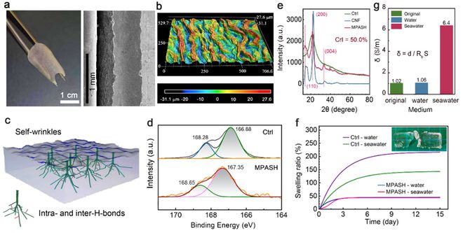 1704676831450129.jpg MPASH的自褶皺和抗脹機制.jpg