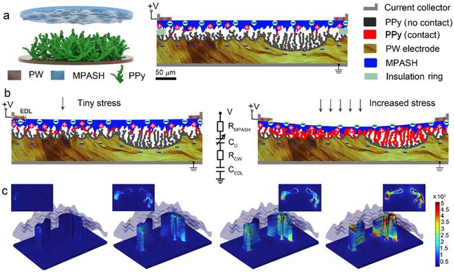 1704677015134448.jpg 分級自匹配微圖案化機械感應機制.jpg